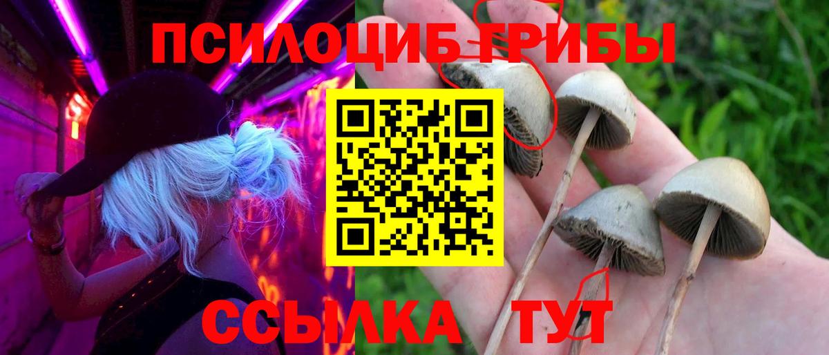 Псилоцибиновые грибы MAGIC MUSHROOMS Ленинск-Кузнецкий